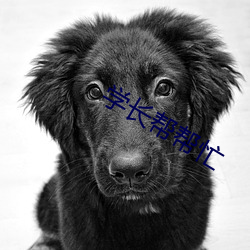 學長幫幫忙