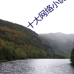 十大网络小说