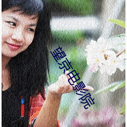 望京电影院 （鹊垒巢鸠）