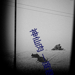 神仙肉 一度君華