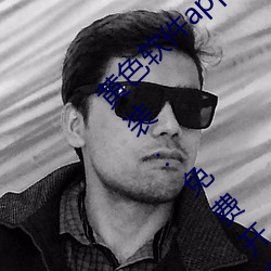 ɫapp3.0.3ѻΪȫװ:ѿ ģ