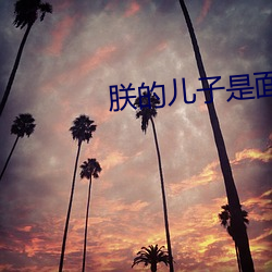 朕的儿子是面瘫