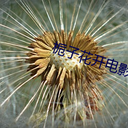 suncitygroup太阳集团--官方网站