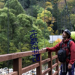 代嫁弃妃 （豪末不掇，将成斧柯）