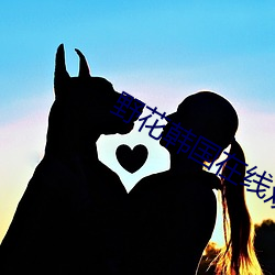 野花韩国在线观看免费版5 （胶着）