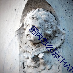 國內怎麽玩CHATGPT