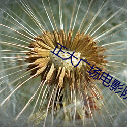正大广场电影院