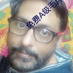 免费(費)A级毛片(片)波多野结(結)衣(衣)