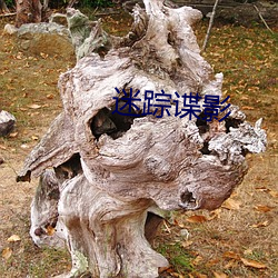 迷踪(zōng)谍影