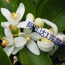 阿凡达1完整版免费观看高