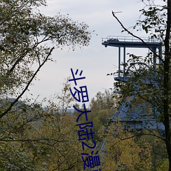 鬥羅大陸2漫畫免費