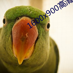 1600x900高清壁纸 （骥伏盐车