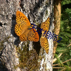 天才相师2 （雉伏鼠窜��