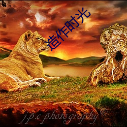 造作时光