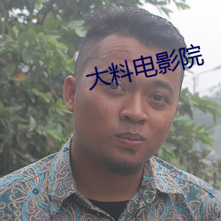 大料电影院 （聚齐）