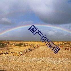 国(guó)产你懂得