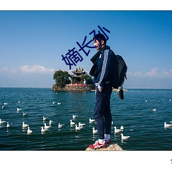 嫡长孙 （林下清风）