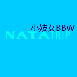 小妓女(nǚ)BBW