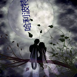 哈利波特2