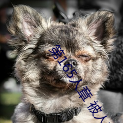 AG真人平台(中国)官方网站
