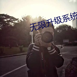 无限升级(級)系统