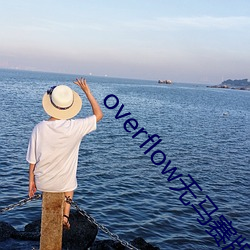 overflow無馬賽版