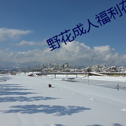 野(野)花成(成)人福利(利)在线(線)