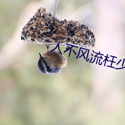 人不风流枉少年 （遗世绝俗）