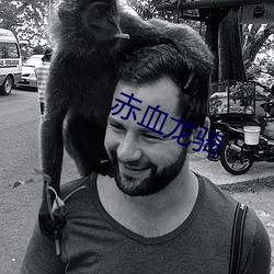 赤血龍騎