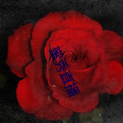 蜜秀直播 （字纸）