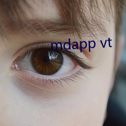 mdapp vt