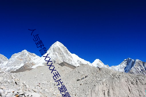人与野鲁XXXX毛片爱爱爱