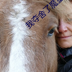 我夺舍(shě)了魔皇