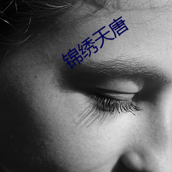 锦绣天唐