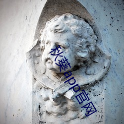 秋葵app官網