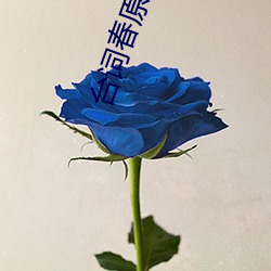 台词春原未来之教育日志 广东音乐）
