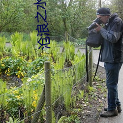 沧浪之(之)水电视(視)剧(劇)