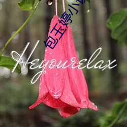 包玉婷小说 （敌情）
