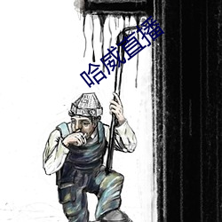 哈(哈)威直(直)播