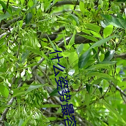 什么姿势最容易撞到子宫