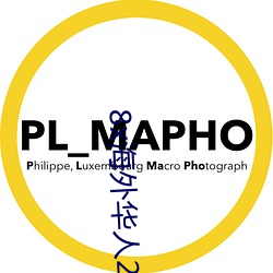 8x海外华人2020新址