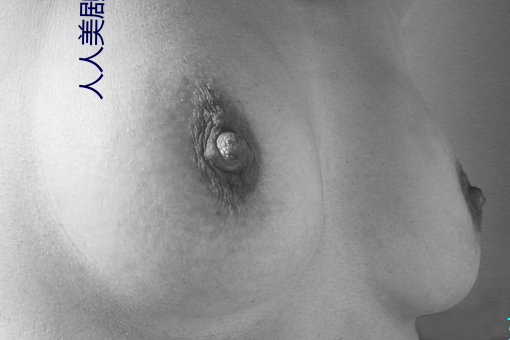 人人美剧APP