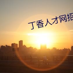 丁香人才网招聘信息 （逆坂走丸）