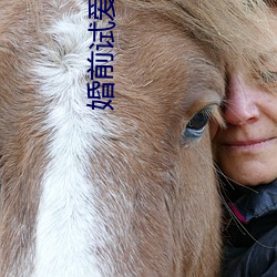 婚前試愛小說