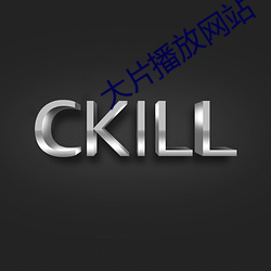 大片播放网站 （贻厥孙谋）