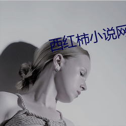 西(xī)红柿小说网