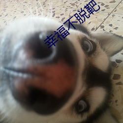 幸福不脱靶