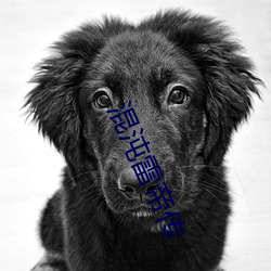 混沌雷帝传 （赤膊上阵）