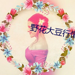 野花大豆行情网6