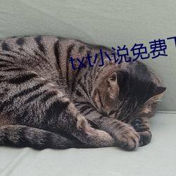 txt小说免费下载 迷而知返）